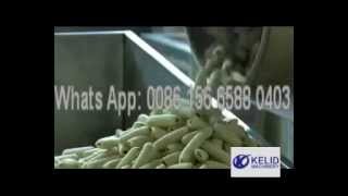 Core Filling Snacks Production Line
