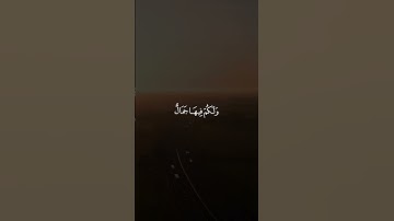 آيات من سورة النحل 🍃 .