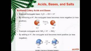 Famous 100MSC Module 8 Part 1 13min Net Worth