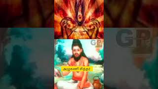 அழுகணி சித்தர் பாடல் 21|சாயச் சரக்கெடுத்தே சாதிலிங்கம் தான்சேர்த்து பாடல் #agasta #song #sithargal