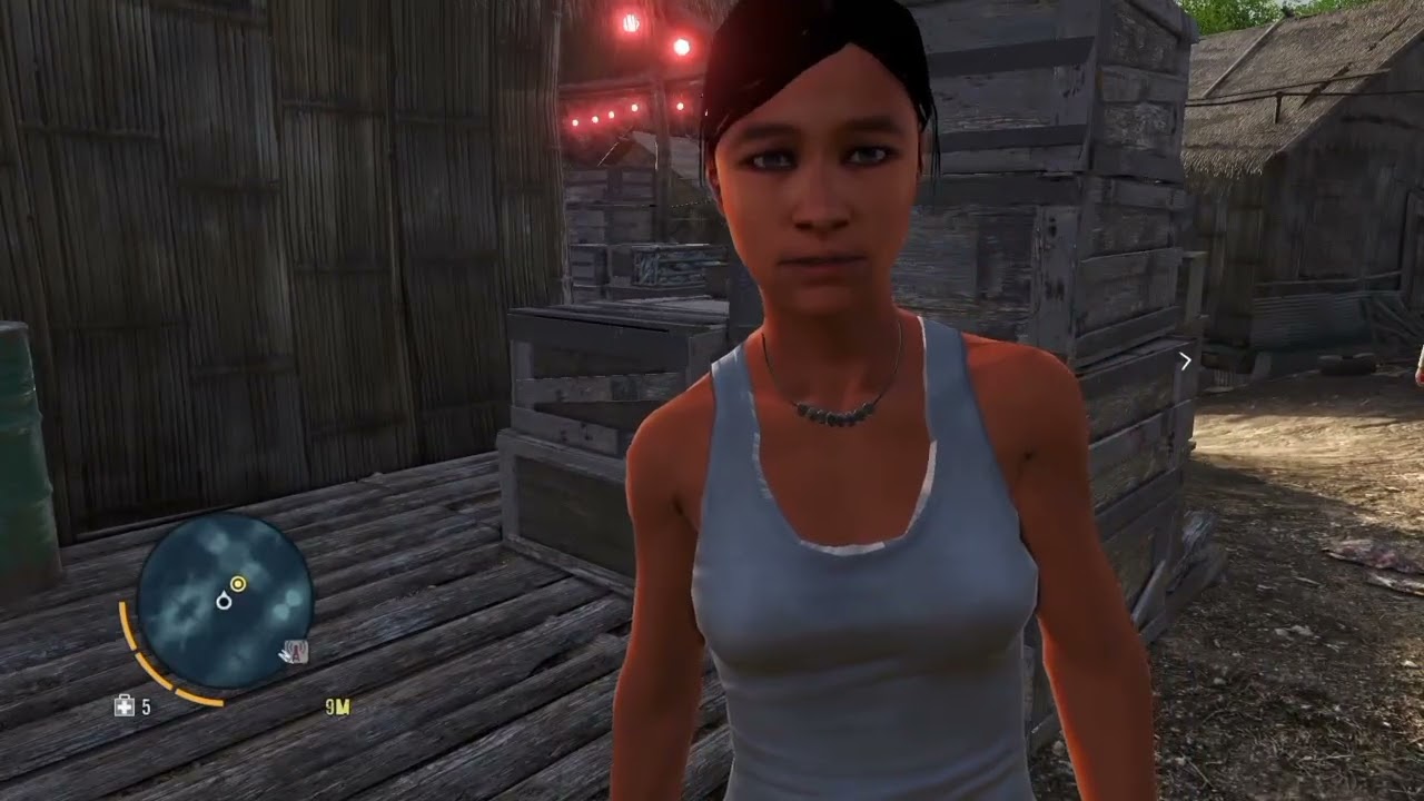 FAR CRY 3     Agent CIA WILLIS