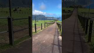 🏝️🐮🌿#traveljapan #tokyo