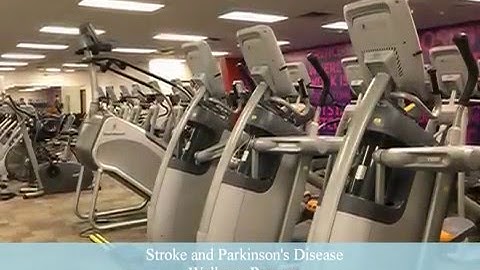 UNF Public Health Internship Video