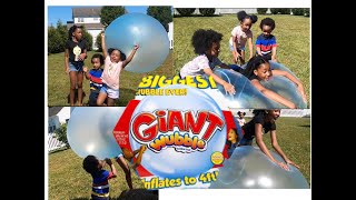 Hilarious GIANT Wubble Bubble backyard fun! Wubble Bubble fail!