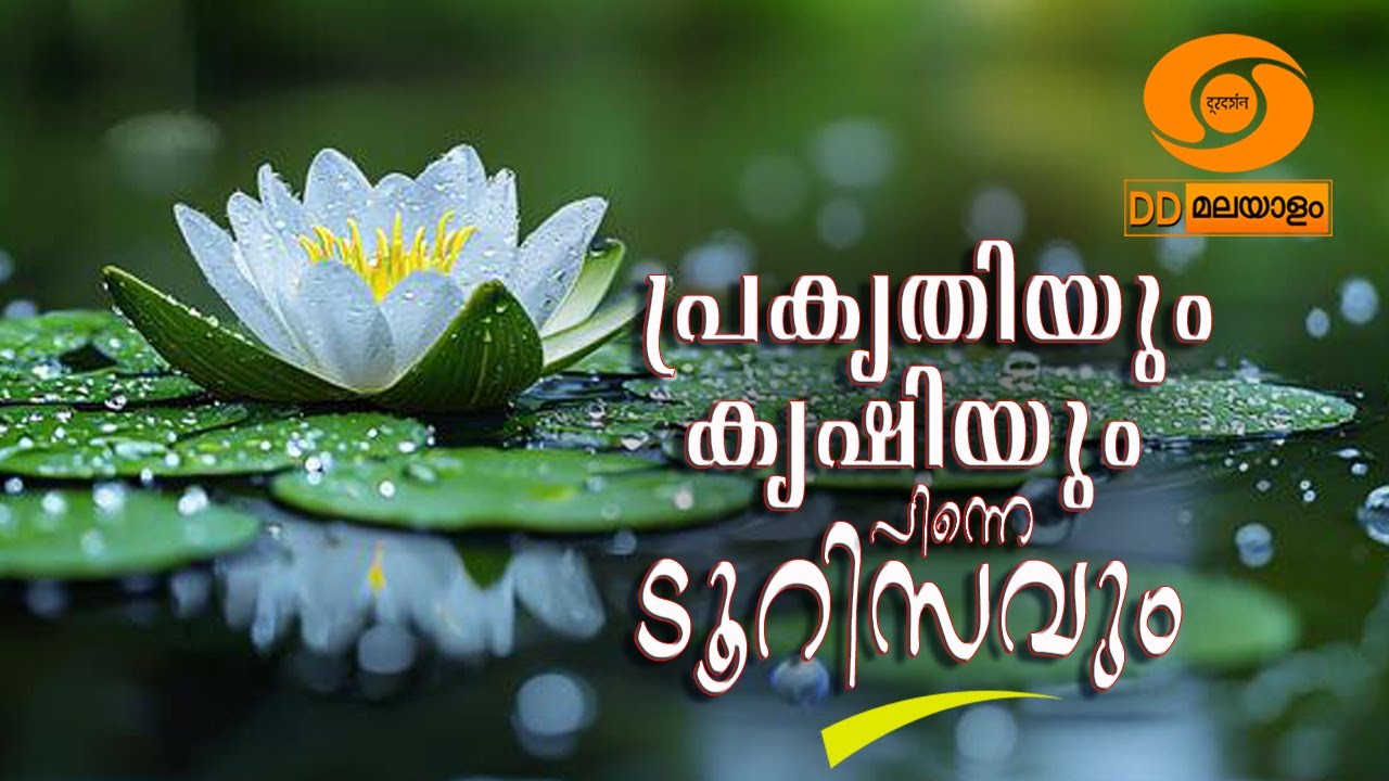 പ്രകൃതിയും കൃഷിയും പിന്നെ ടൂറിസവും