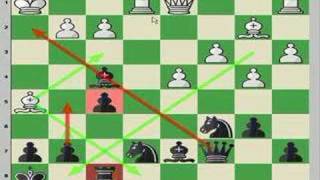 How Chess Pieces Move 🎓 Beginner Chess Lessons - GM Damian Lemos