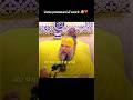 🫶❣️ #premanandjimaharaj #reels #trending #shortfeed #ytshorts #fypage #viralvideo #views #diy