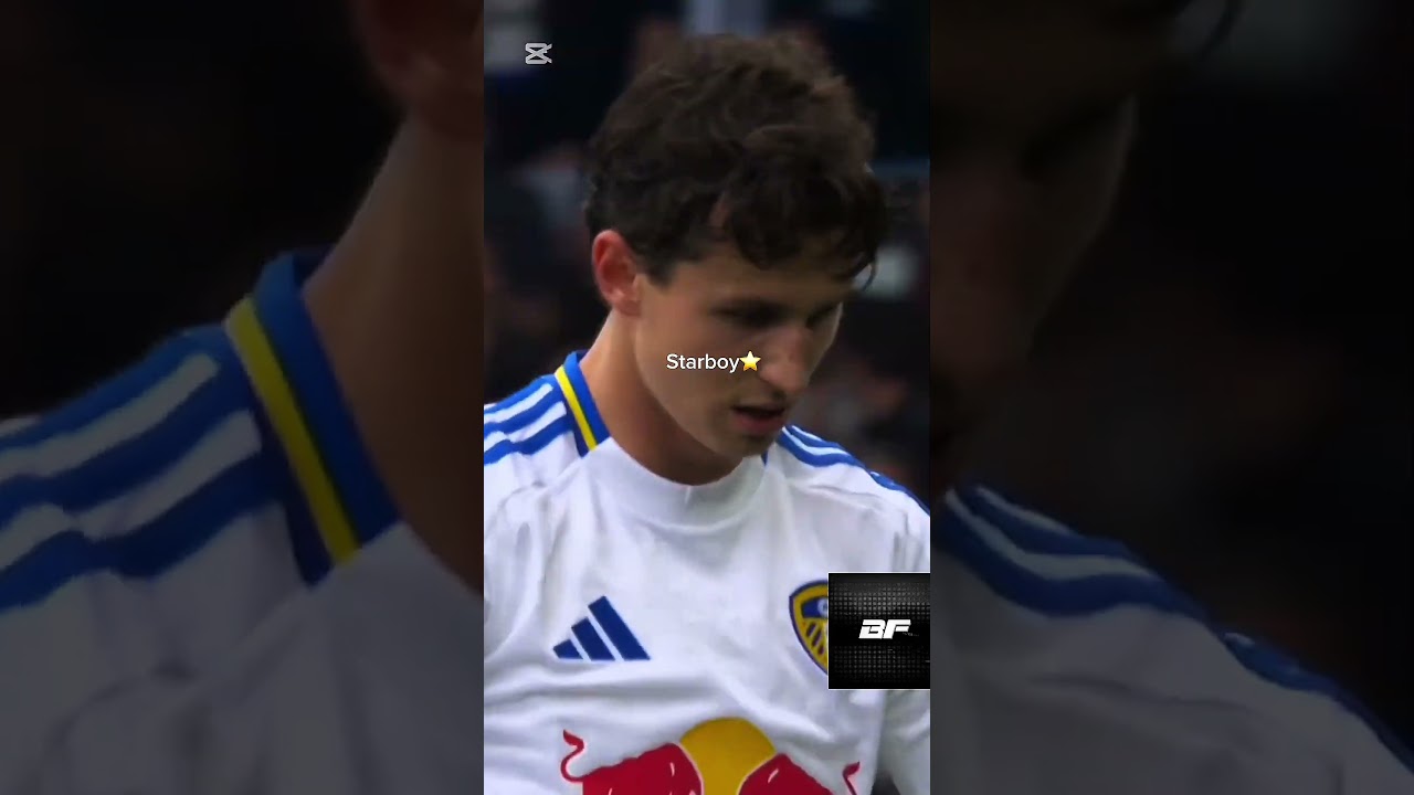 •Harry Gray• The Future of England 