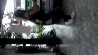 Tata MeL e Jeeh Lora no Rebolation II