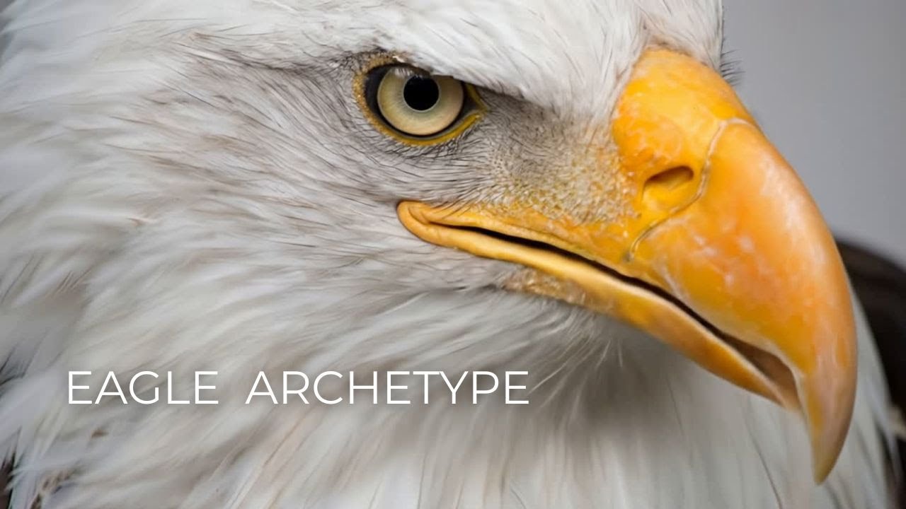 Eagle Archetype | Higher Vision, Inner Clarity & Silent Power
