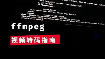 ffmpeg实用教程：6 视频转码指南