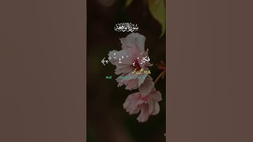 اذا وقعت الواقعة🤍🎧 || #quran #قرآن #قران_كريم #تلاوة_خاشعة