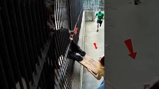 حين يضع الله رحمته في قلب غيرك فاعلم أن اللطيف قد تكفل بك وسخر لك من لا تعلم