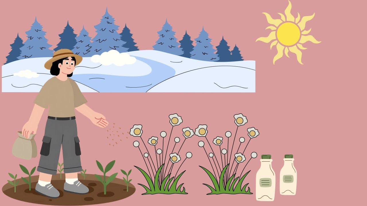 کاشت دانه در زمستان- بیرون از محیط خانه- روش استفاده از ظرف شیر