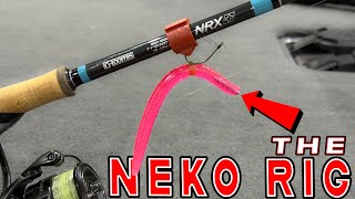 Neko Rig Fishing: Everything You Need To Catch Bass!