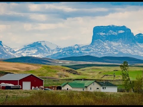 Sustainable Grazing: Bridging the Gap Between Ranching, Conservation, and Carbon - video from Kateri