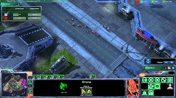 Maze Esports - 1v1 - Dimaga (Z) v Seiplo (P)