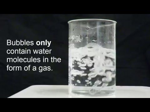 Boiling Water Science: Why Does Water Make Noise Before It Boils?