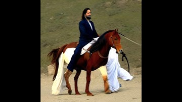 Sh Hamza Yusuf EXPOSED as a superior horseman. #hamzayusuf #exposed #islam #horse #horseman