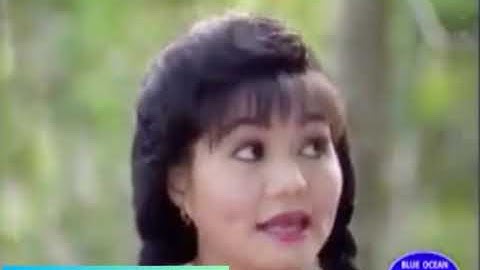 Vũ Linh nhầm lẫn Kim Anh Kim Đào