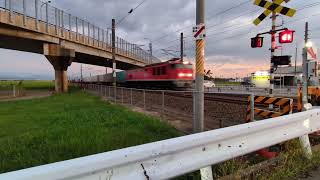 8月6日(木)3099レEF510-6号機 吹田貨物西ターミナル発東青森行き明峰駅～能美根上駅間通過