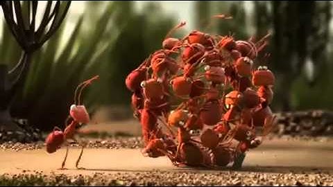 The Power of Teamwork Funny Animation   YouTube