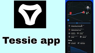 Tessie App Review 2025 – The Best Tesla Companion for Tracking, Control and Automation