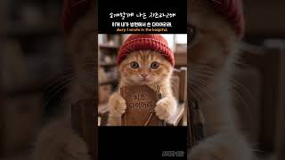 모자쓴 고양이 치즈 "치즈의 다이어리"Cheese's Diary" #animal  #cute #cat #penguin