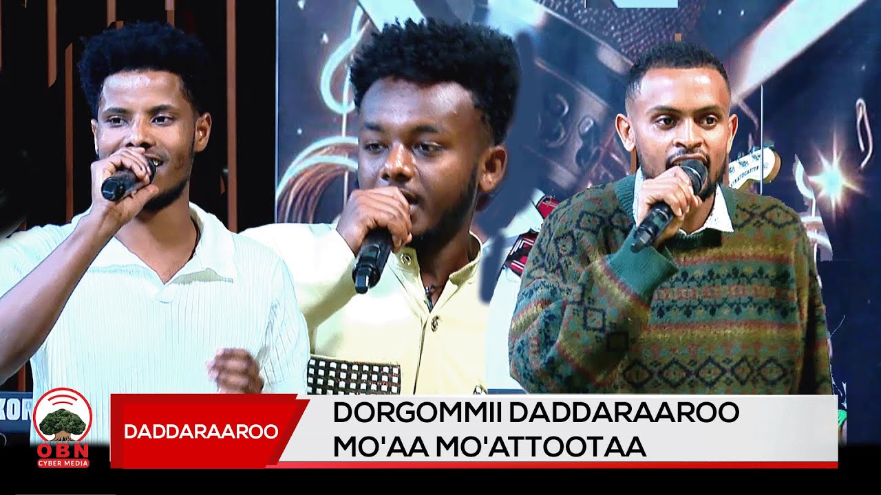 Dorgommii Daddaraaroo mo'aa mo'attootaa