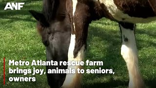 Rescue farm brings joy to Atlanta seniors