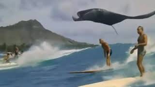 happy -skinnyfabs (story wa)