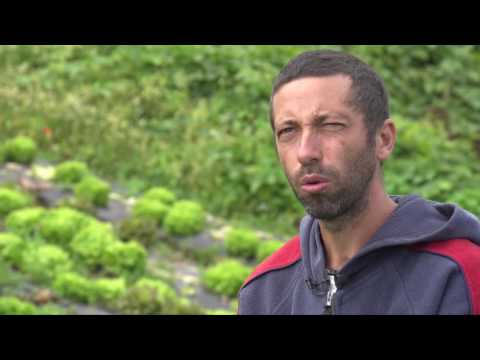 Magazine - L'agriculture