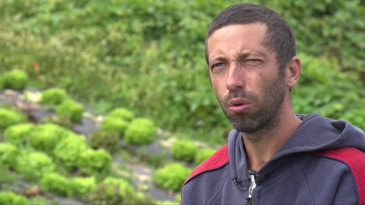 Magazine -  L'agriculture biologique