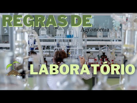 Vídeo: Você não come dentro do laboratório?