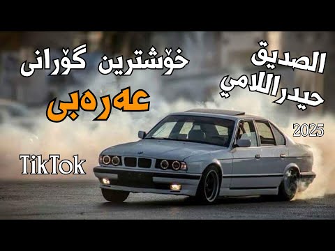 حیدراللامي الصدیق خۆشترین گۆرانی عەرەبی تيك توك2025 ربعي وما اسامحهم