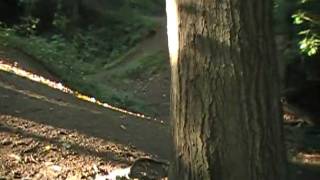 MOV063.MOD