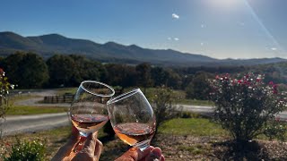 Check it out!  Zip Lining in Helen, GA and the most Incredible Winery!