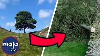 10 Times Landmarks Were Ruined by Morons
