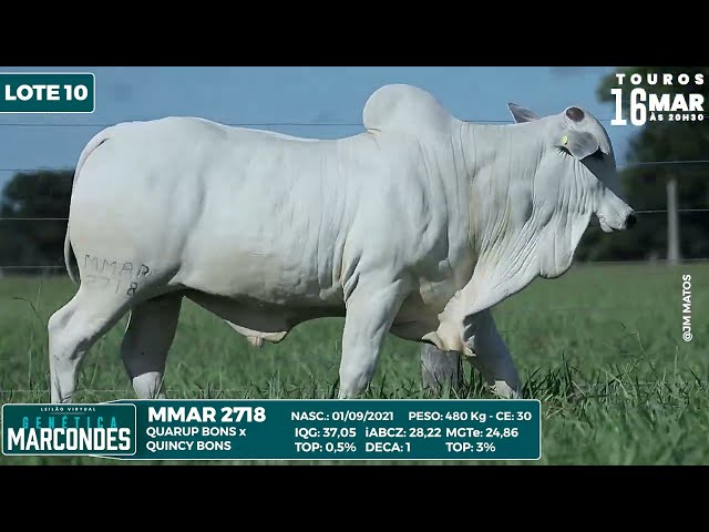 LOTE 10   MMAR 2718