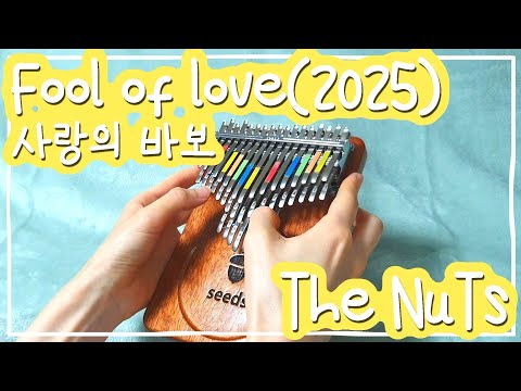 The NuTs Fool Of Love 2025 Kalimba 