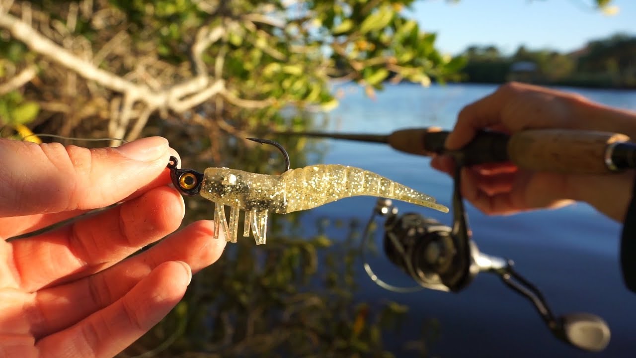 Fishing in the Mangroves Exploring New Waters YouTube