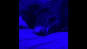 How to yeethook in doom| Doom eternal guide