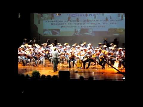 Pagode em Brasilia