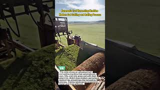 Automatic Turf Harvesting Machine | Modern Sod Cutting and Rolling Process