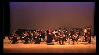 SAI 2026 Finale - String Orchestra