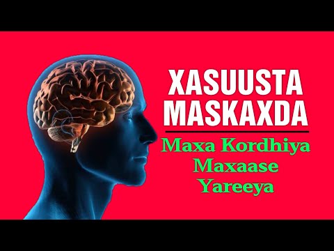 Xasuusta Maskaxda Maxa Kordhiya Maxaase Yareeya Daawo