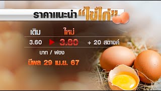 ไข่ไก่ขึ้นราคา - ราคาปาล์มตกฮวบ