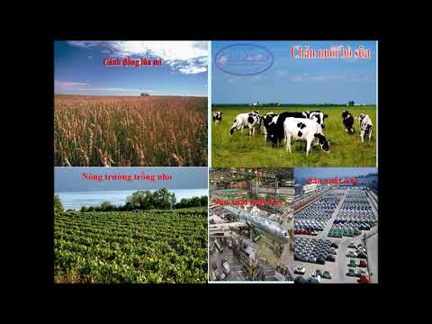 Bài: Một số nước ở Châu Âu