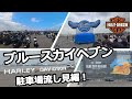 ブルースカイヘブン2024 駐車場ハーレー流し見編！