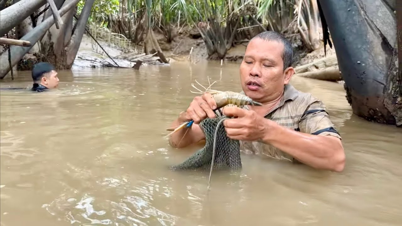 MÒ TÔM CÀNG XANH KHỦNG TRƯỚC MIỆNG  CỔNG SÂU 3M  - CHÒI LÁ QUÊ # T 109